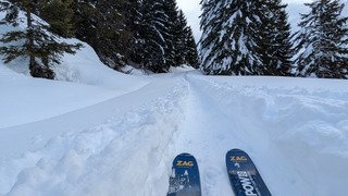 Pas un chat ... Ah si !