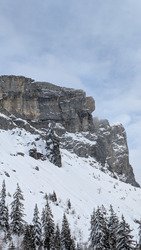 Pas un chat ... Ah si !