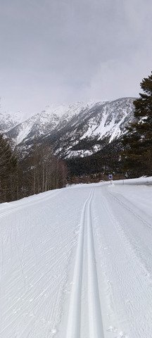 Skating pas tr&egrave;s glissant au Rosier