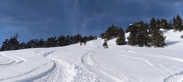 Encore tr&egrave;s bon