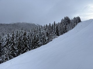 On n&rsquo;y voit rien ! 