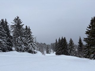 On n&rsquo;y voit rien ! 