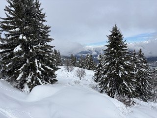 #32, poudrerie givr&eacute;e 