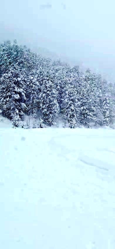 En direct de la station. De la neige a profusion !