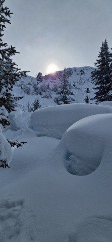 Journ&eacute;e d'exception 