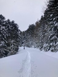 petite fen&ecirc;tre avant le rin&ccedil;age