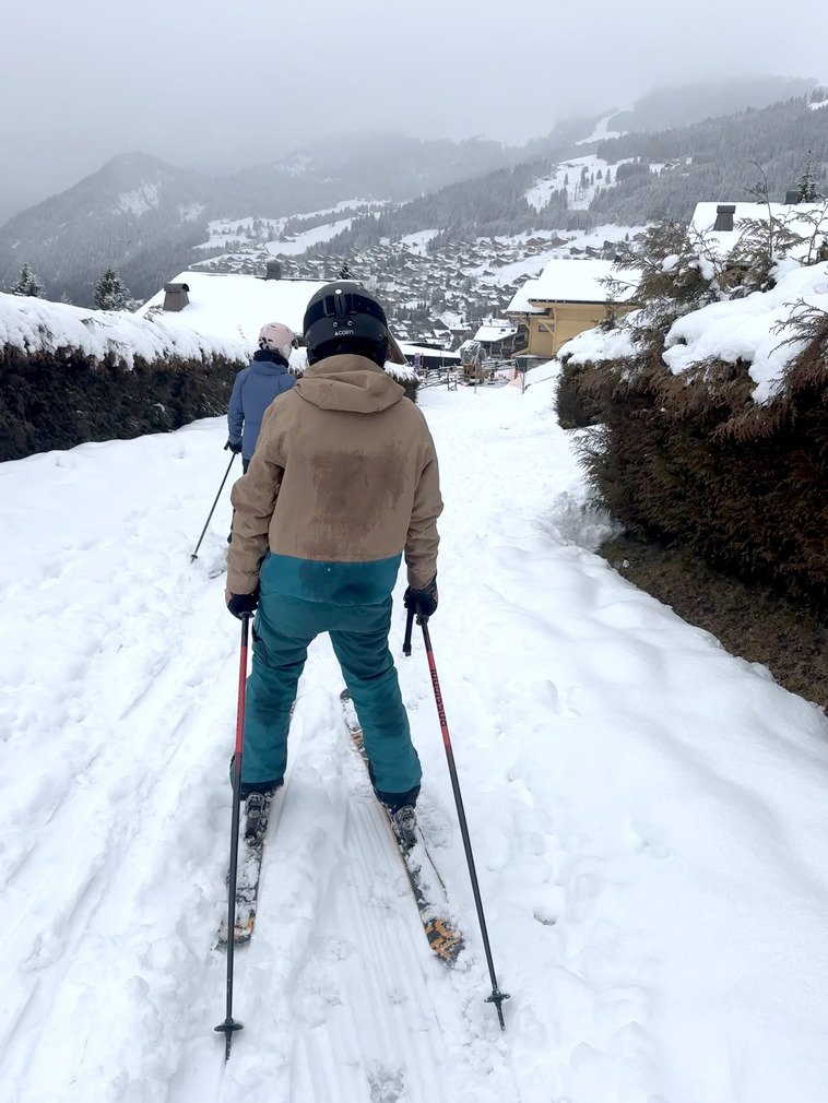 Jour de neige, jour de sapins 🌲 