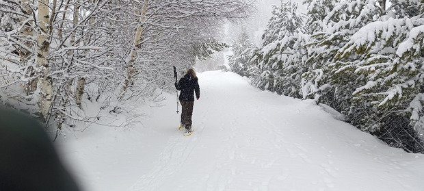 Ambiance grand nord canadien 