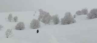 Ambiance grand nord canadien 