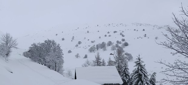 Ambiance grand nord canadien 