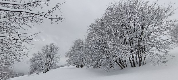 Ambiance grand nord canadien 