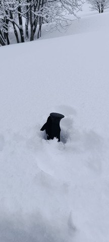 Ambiance grand nord canadien 