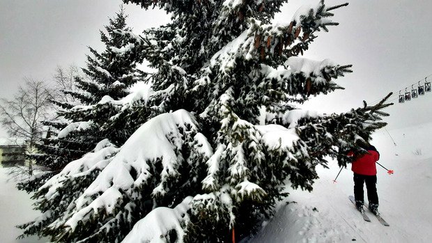 Neige fra&icirc;che en quantit&eacute;, et rafales, &ccedil;a ride !