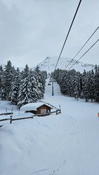 Et les arcosses disparurent 