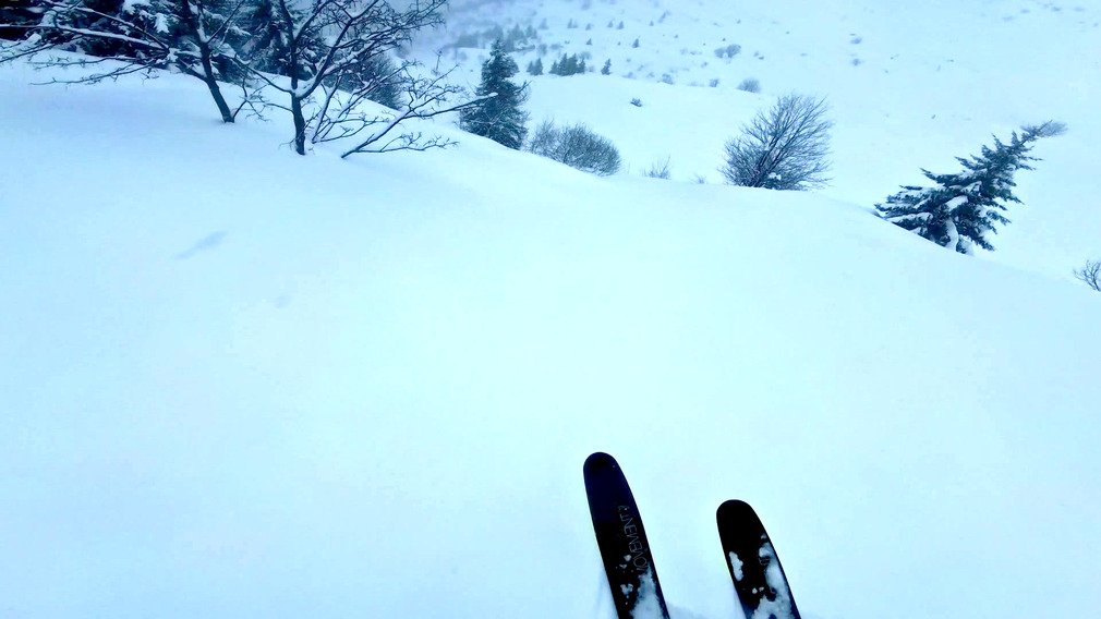 Et les arcosses disparurent 