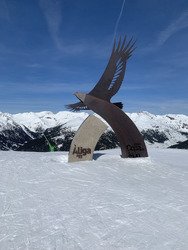 Riders on the sun🥵