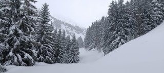 De l neige encore et encore 