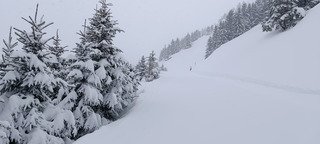 De l neige encore et encore 