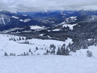 Noir & blanc ◼️◻️