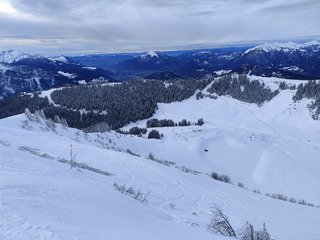 Noir & blanc ◼️◻️