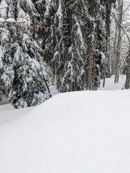 Pile &agrave; l'heure pour l'&eacute;claircie ! 