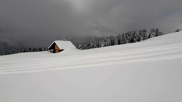 Le gra&acirc;l de la poudreuse dans La For&ecirc;t !