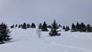 Compliqu&eacute; aujourd&rsquo;hui 🫩