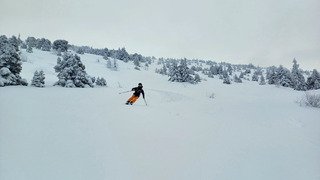 Fourteen years later