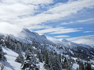 Fourteen years later