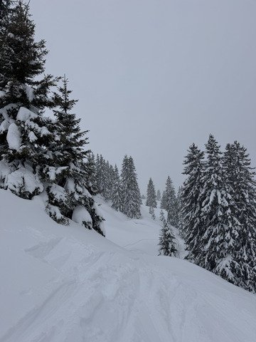 On reprend les m&ecirc;mes&hellip;