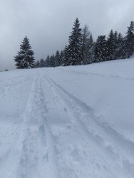 En attendant les &eacute;claircies...