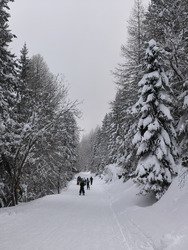 En attendant les &eacute;claircies...