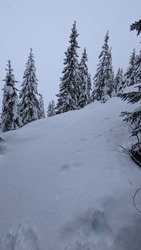 Arces et cie, encore de la fraiche