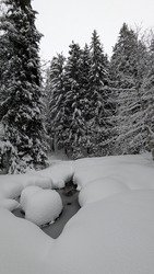 Arces et cie, encore de la fraiche