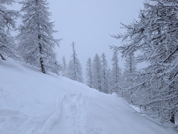 Jean Michel dieu de la neige r&eacute;gale 
