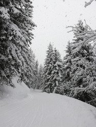 Courchevel merveille 