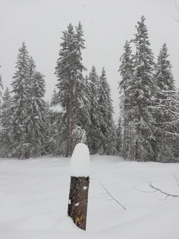 Courchevel merveille 