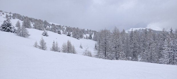 Neige encore et toujours 