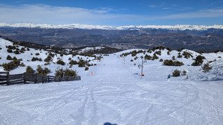 Gr&eacute;oli&egrave;res : De superbes conditions