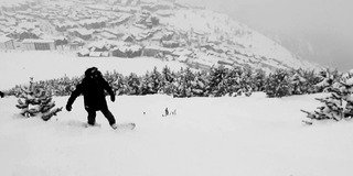 Encore une bonne livraison de pow pow !