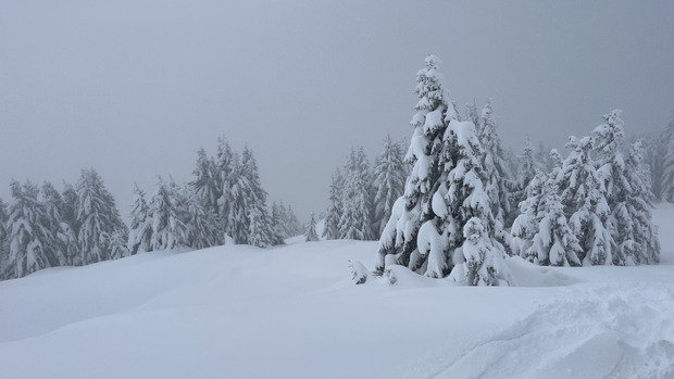 Couche m&eacute;morable de neige ☃️