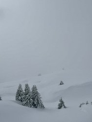 C&rsquo;est beau mais c&rsquo;est chiant! 