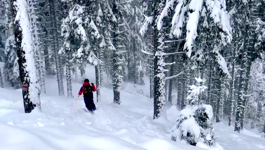 plein de promesses ce matin, puis d&eacute;sillusion 