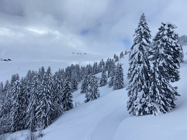 Neige bizarre, du monde et du brouillard 