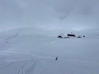 Neige bizarre, du monde et du brouillard 