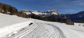 Ski de fond printanier 