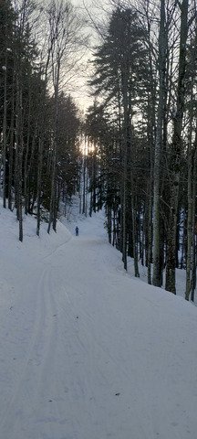 Ski de fond printanier 