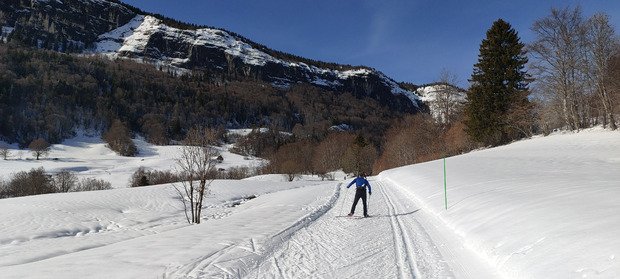 Ski de fond printanier 