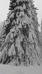 D&eacute;cor de r&ecirc;ve, mais d&eacute;ception sous les spatules 