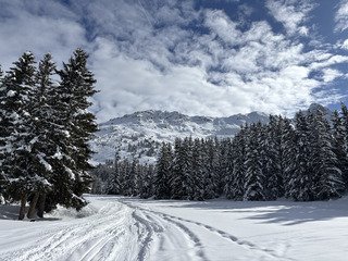 #36, &ccedil;a aurait pu &ecirc;tre bien mais&hellip;